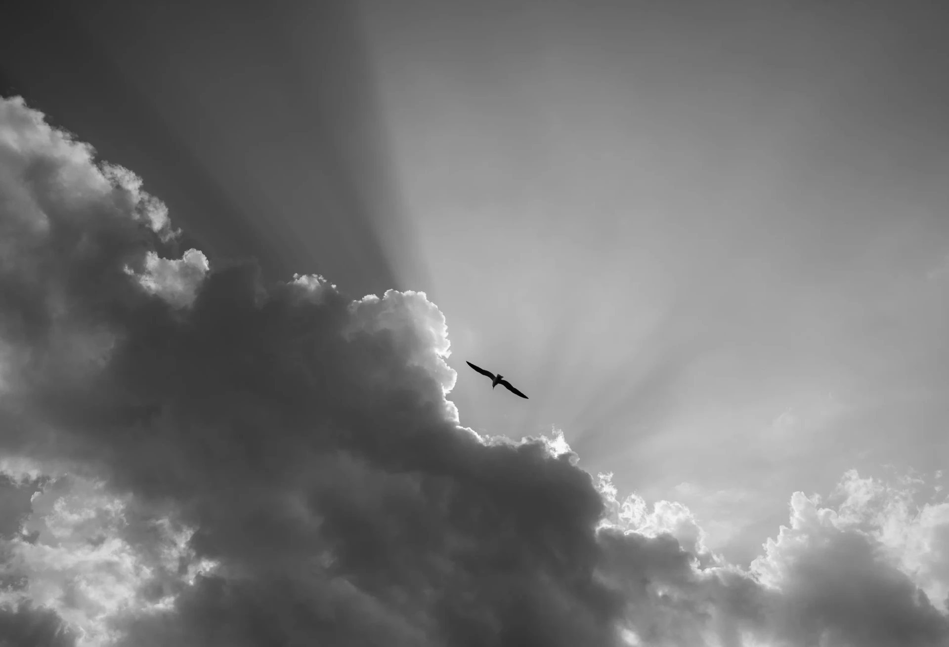 Nature 11