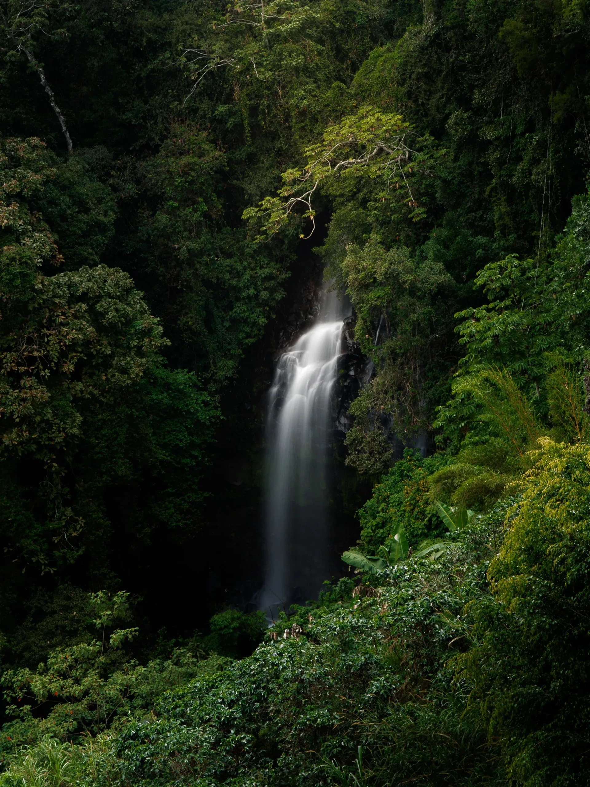 Nature 24