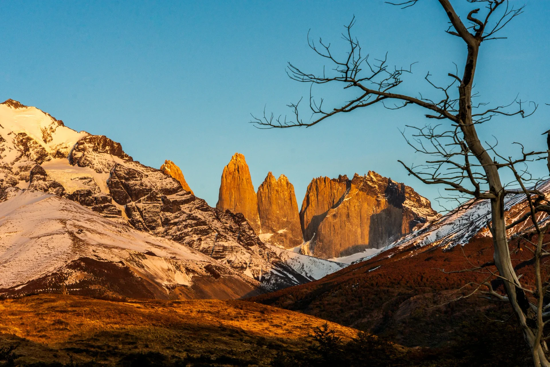 Nature 27