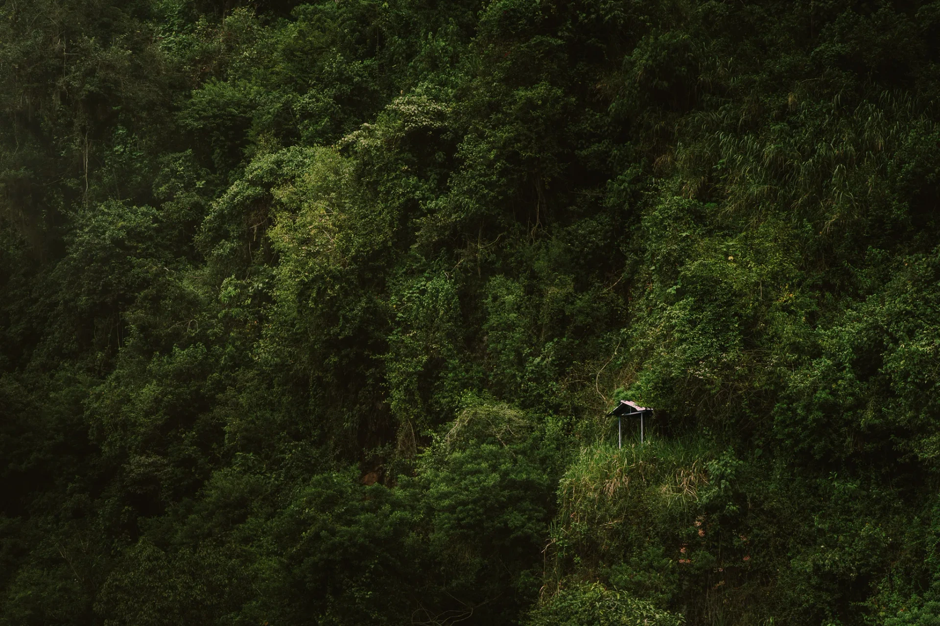Nature 2