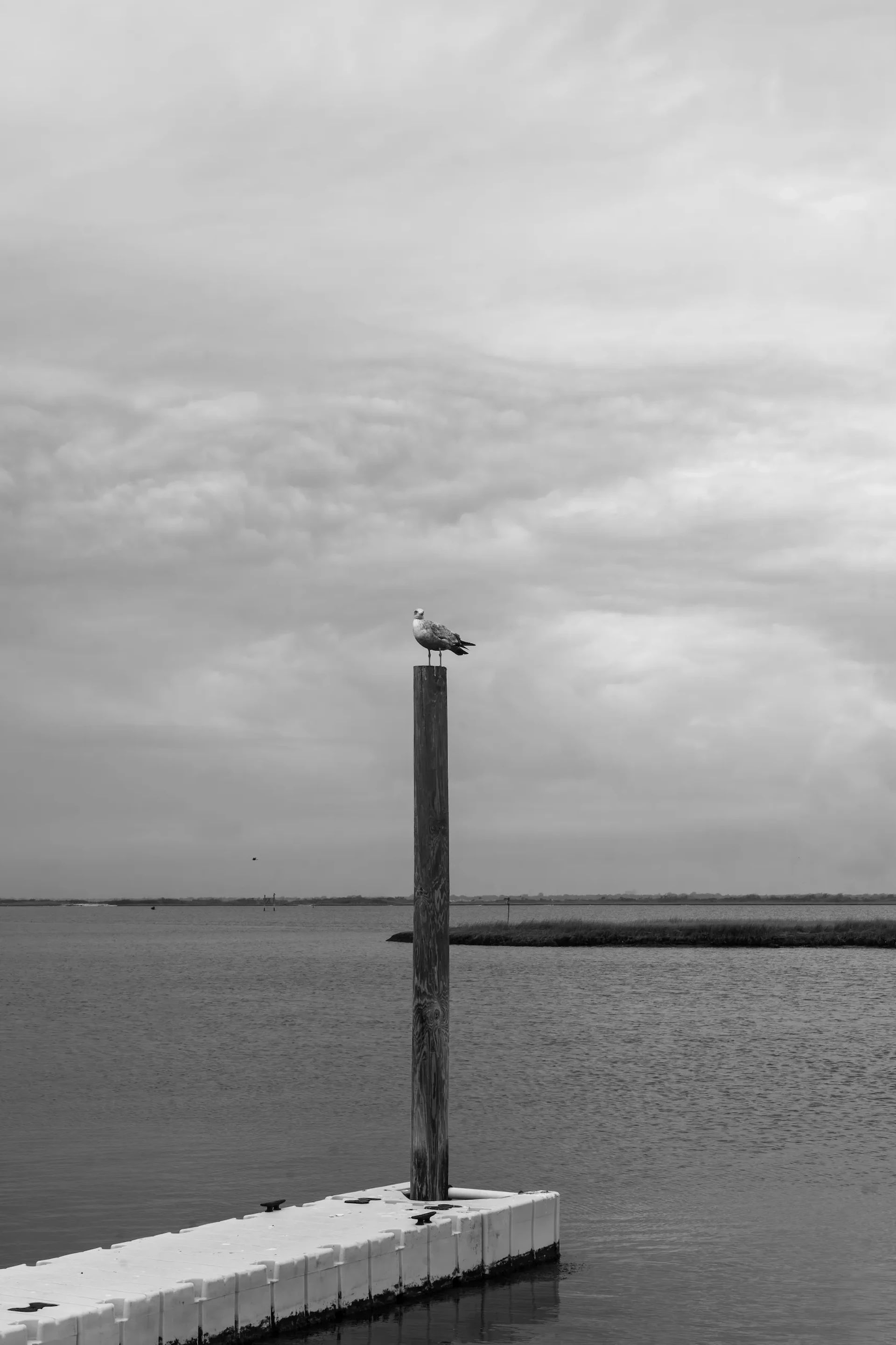 Nature 6